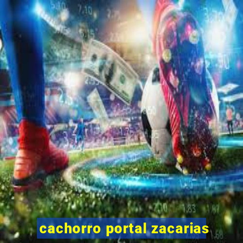 cachorro portal zacarias